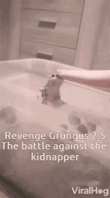 revenge frog