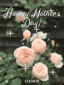 a happy mother 's day greeting card with roses and the words `` happy mother 's day ''