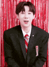 a young man in a suit and tie is smiling in front of red tinsel