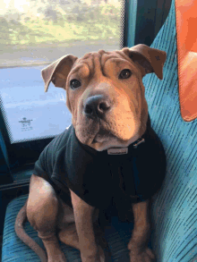 On The Bus Sit GIF - On The Bus Sit Sitting Down GIFs