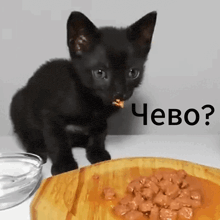 a black kitten eating a piece of food next to a bowl of food that says ' chebo ' on the bottom