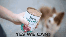 Brit Pet Food Brit Cans GIF - Brit Pet Food Brit Cans Dog GIFs