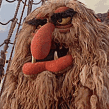 Muppets Wait What GIF - Muppets Wait What Laugh GIFs
