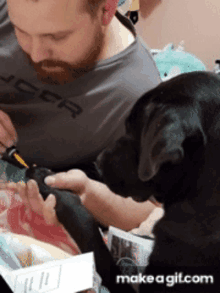 dog manicure black dog getting nails done