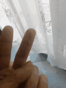 Peace Hand Sign GIF - Peace Hand Sign Recording GIFs