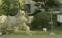 Dog What The Dog Doin GIF - Dog What The Dog Doin What The Dog Doing GIFs
