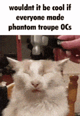 Nine Phantom Troupe GIF - Nine Phantom Troupe GIFs