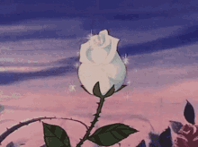 Rose Bloom GIF - Rose Bloom Plant GIFs
