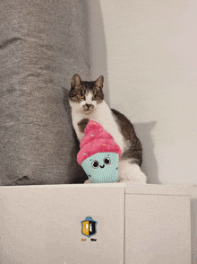 a cat is sitting next to a stuffed cupcake with a face