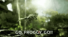 Frog Jump GIF - Frog Jump Fly GIFs