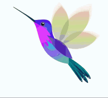 Hummingbird GIFs | Tenor