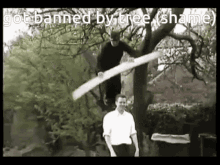 Tree Banned Me GIF - Tree Banned Me GIFs