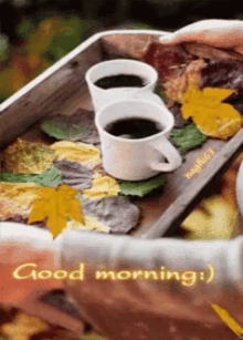 Good Morning Fall Season GIF - Good Morning Fall Season Autumn GIFs