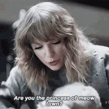 taylor swift princess of meow town cat love