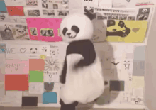 Panderz_ GIF - Panda Dance Costume GIFs