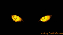 Golden Eye Halloween Anime Iconsymbolemblemlogo Black Stock Vector Royalty  Free 708578251  Shutterstock