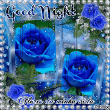 good night rose flower star sparkle