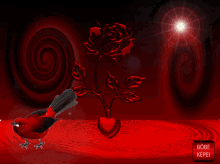 a szeretet bird rose red