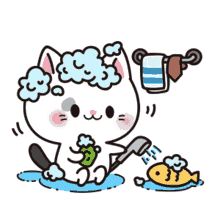 wash cat