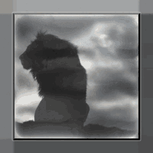 Lion Silhouette GIF - Lion Silhouette Animals GIFs