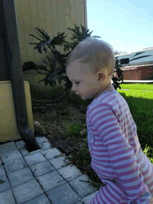 a baby in a pink and blue striped shirt is crawling on a brick sidewalk