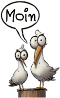 two seagulls standing next to each other with a speech bubble that says " moin "