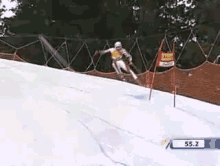 The Scream GIF - Ski Skiing Accident GIFs