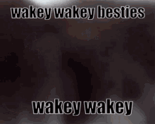 wakey wakey wake up waking up monke monke wake up