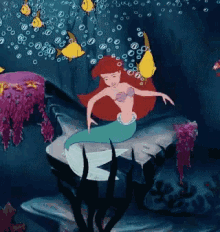 Little Mermaid Ariel GIF - Little Mermaid Ariel GIFs