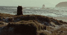 a monster with horns is sitting on a sandy hill near the ocean