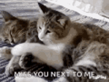 Miss You Next To Me Missing You GIF