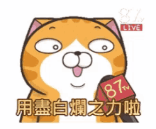 Cat Lan Lan Cat GIF - Cat Lan Lan Cat Interview GIFs