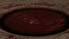 a computer generated image of a circle of blood with a swirl in the middle