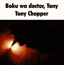 One Piece One Piece Chopper GIF - One Piece One Piece Chopper Boku Wa Doctor Tony Tony Choppa GIFs