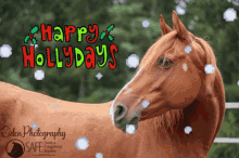 Happy Holidays Snow GIF - Happy Holidays Snow Horse GIFs