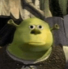 Mike Tyson Shrek GIF