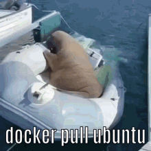 Docker Pull Ubuntu GIF - Docker Pull Ubuntu GIFs