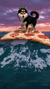 a dog wearing a headband that says dea is standing on a pizza in the ocean
