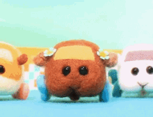 Puipuiモルカー Puipui Molcar GIF - Puipuiモルカー Puipui Molcar Puipui天竺鼠車車 GIFs