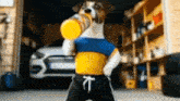 a jack russell terrier is drinking from a bottle in a garage .