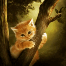 Cat Tree GIF - Cat Tree Stem GIFs