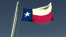 a red white and blue flag with a white star