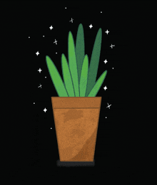 Plant Stars GIF - Plant Stars Blinking Stars GIFs