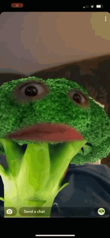 a phone screen shows a picture of a broccoli head with a person 's eyes and mouth