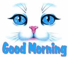 Good Morning Kitten GIF - Good Morning Kitten Glitter GIFs