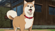 Anime Running Boys GIF - Anime Running Boys Dog GIFs