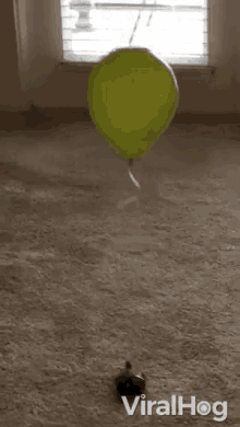 Turtle On A Balloon Yellow Balloon GIF - Turtle On A Balloon Yellow Balloon Adorable Turtle GIFs