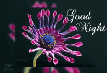Good Night Flower GIF - Good Night Flower Passion Fruit GIFs