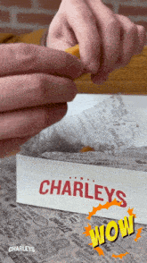Charleys Cheesesteaks Mozzarella Sticks GIF - Charleys Cheesesteaks Mozzarella Sticks Cheese Pull GIFs