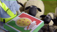 Shaun Sheep GIF - Shaun Sheep Pizza GIFs